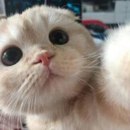 冬日冷风热饮与微笑