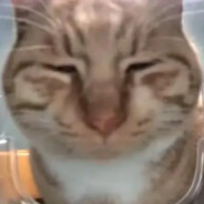 AAA发电机上门维修猫哥