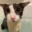 soggy
