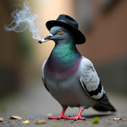 El  Mr.Pigeon_$