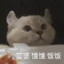 澄鹿