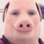 johnpork