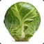 A Brussel Sprout