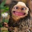 nicklasMLG