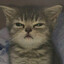 nvgus.DzinoldPeek