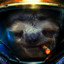 Cosmic Sloths