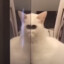 Really Really Big Man