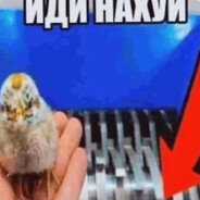 прилет с белочки