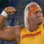 The Hulkamania