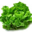 lechuga