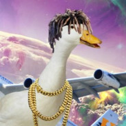 NLMB | GOOSE WRLD | BFU