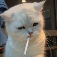 怦然心动次打次