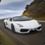 gALLARDO262