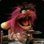 The Muppets``Animal``