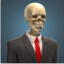 Professional Skeleton