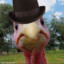 Mr. Turkey