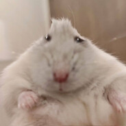 NiTROfani's avatar