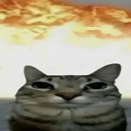 InfinivL