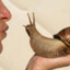 Legalize Snail Marriage