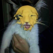 ▲★Cetrax★▲™