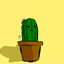 The Cacti