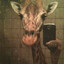 giraffe