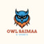 OWL Saimaa