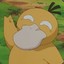 Beacuse Im Psyduck