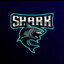 shark_shark