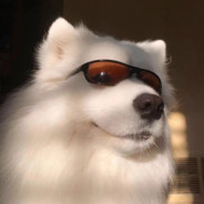 Big Avatar
