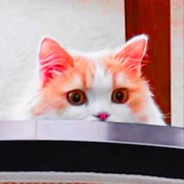 芝诺斯天下第一