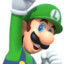 MR.Luigi