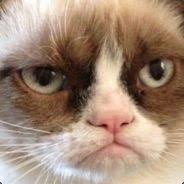 Cat Meme☻