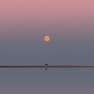 对着太阳喊声日