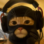 Strigon's avatar