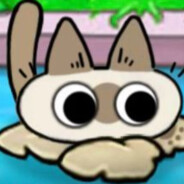 梦蒲今天努力了没