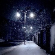 风中逝去的影子