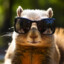 General Squirrel