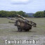 CombatWombat