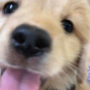 我是糕手懂不懂