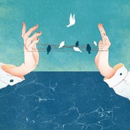 小妖精不吃胡萝卜