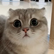 与其提升自己不如压力队友