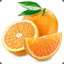 orangejungle