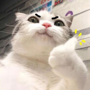 Kovalskii Steam avatar