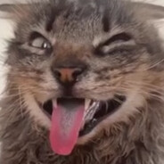 144