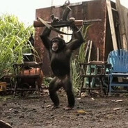 『мR』♥ Obez’yna™