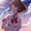 十六