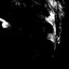 Baron_Brainrot