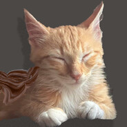 Gatoauchocolat