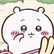 与你共赴园游会